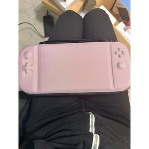 Nitendo DS case